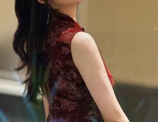 Xiuren秀人网 – 林文文yooki天使全集：看这“仙女”怎么突变成小恶魔