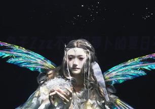 合集：兔子Zzz不吃胡萝卜的夏日不羁和甜腻