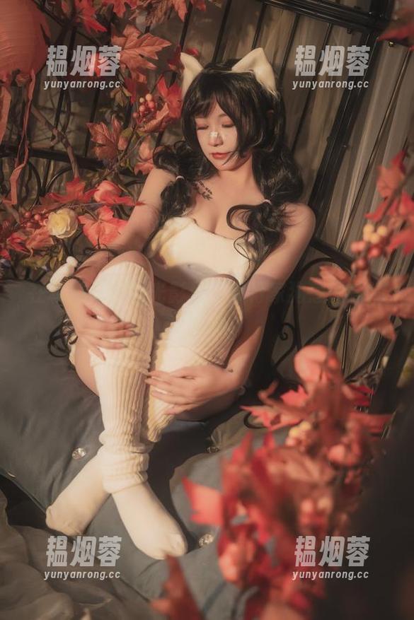 在机械修女的光影里：奇行家狗崽的高清图册