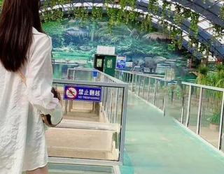 微密圈 – 在线集合！水手服与林子喵Lynne，童年回忆的奇怪合集