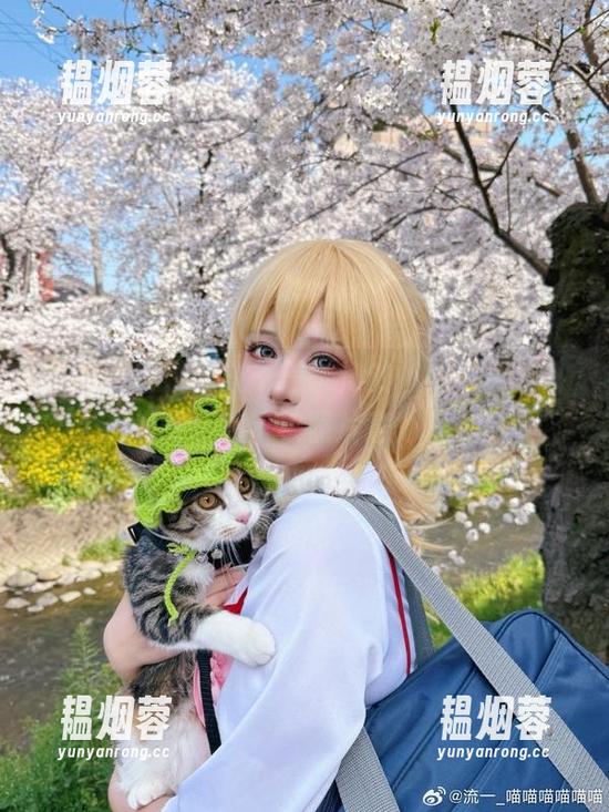 图库看够了这些千篇一律的，流一_喵喵喵喵喵喵的银狼照片意外提神！