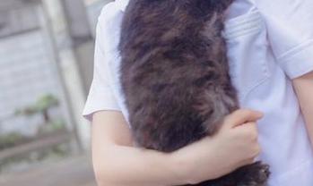 放飞自我：疯猫ss的丝袜狂想曲（透）——下载就对了！