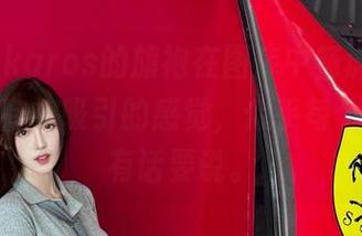 腐团儿Ikaros的旗袍在图库中畅游，高清到让人有被吸引的感觉，似乎每个细节都有话要说。