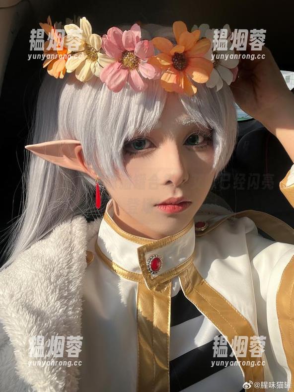来吧，各种腥味猫罐合集，艾咪已经闪亮登场！